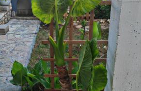 Apartments with garden - Foto 46