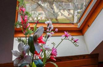 Au cabanous - Foto 12