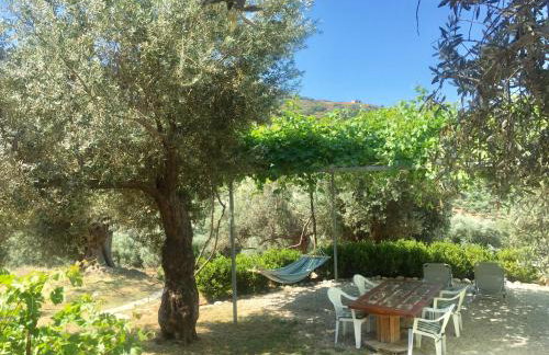 Villa Christina Anidri - Foto 42