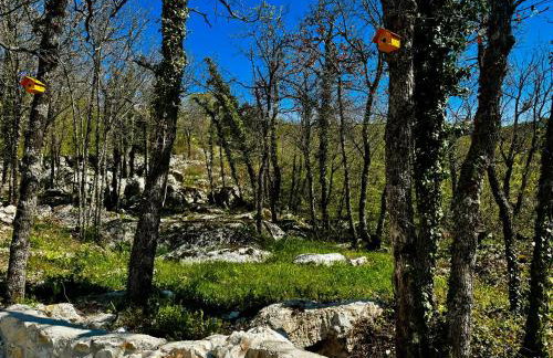 Luxury Villa Andrea Vrzika in forest near the sea with heated pool - Foto 45
