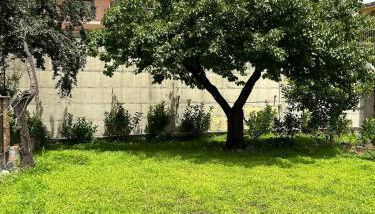 Villa Sara on Etna - Foto 2, Garden view