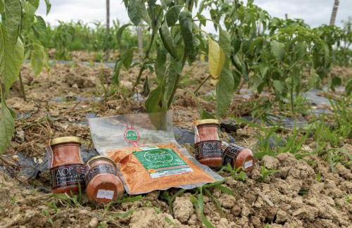 Irazabal Beheria - Foto 18