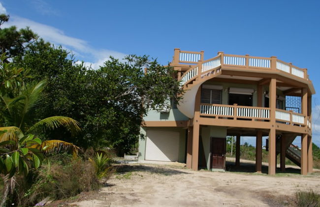 Savannah Sand Dollar - Foto 15