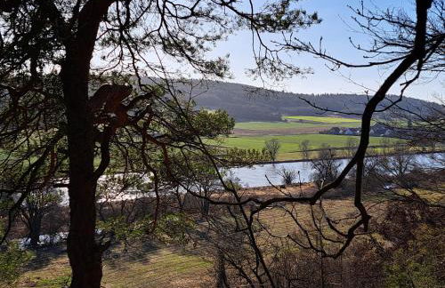 Ferienwohnung im idyllischen Matting an der Donau - Foto 22