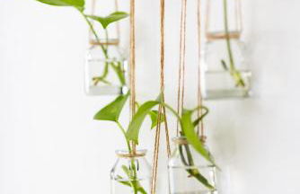 TenoHomes Elegant Hideaway in Nature - Foto 11