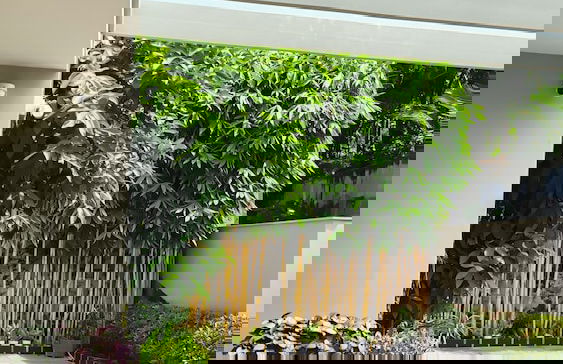 The Meadows Varkala - Photo 28