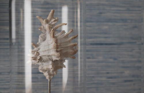 Casa da "Bica" - Nazaré - Alojamento Local - Foto 13