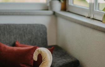 Haus Bergfrieden - Foto 24