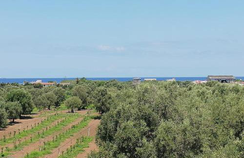 Verde & Mare - Photo 70