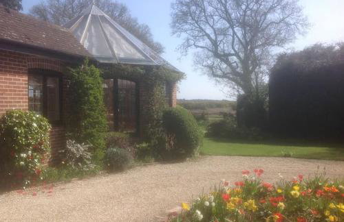 Holmans NEW FOREST - Photo 40