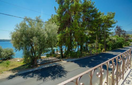 ANOGI - Boutique Guesthouse ~1909~ - Foto 2