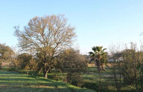 Monte das Hortas Velhas - Foto 38