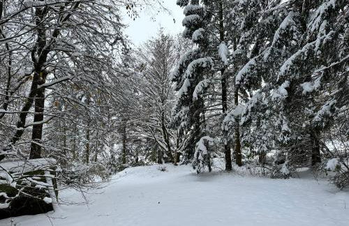 Blockhäusl am Jonsberg - Foto 21