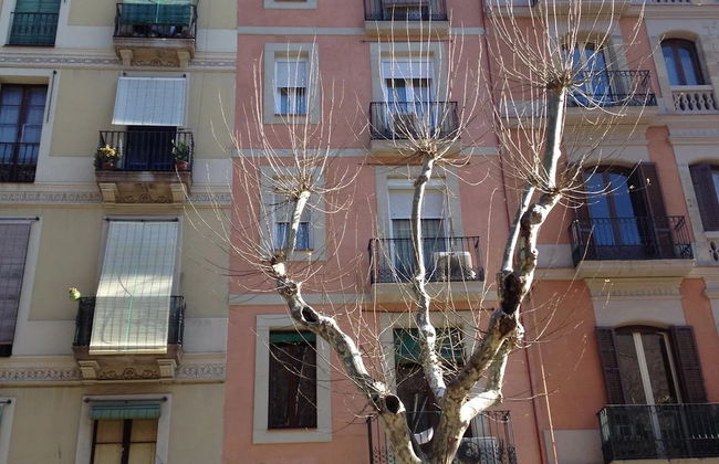 Sant Antoni Market - Foto 15