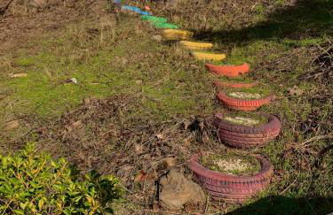 FINCA EL ALMENDRO - Foto 25