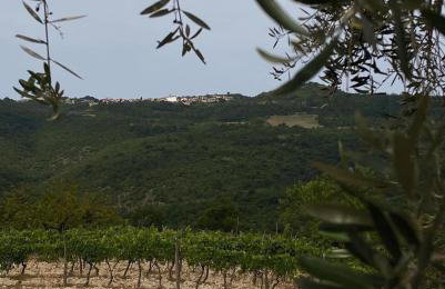 Villa Mare - a natural paradise near Motovun - Foto 72