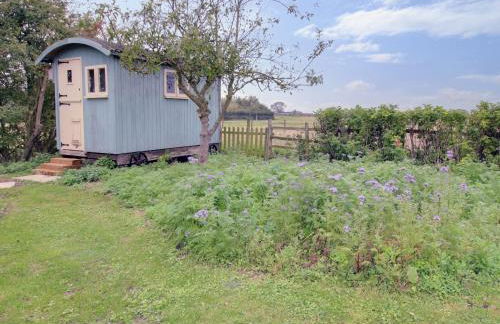 Curlew Cottage - Foto 22