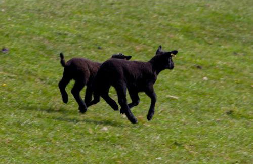 East Ayrlow Banks - Photo 63