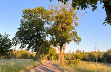 Uroczy Zakątek Dom Wakacyjny Mielno - Foto 27