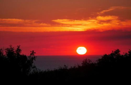 1 Bed in Bude oc-88499 - Foto 17