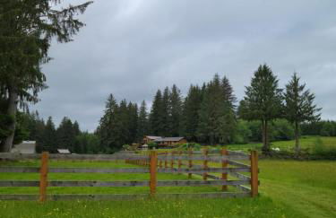 A Relaxing Getaway-A Backwoods Cabin SolDuc River - Foto 48