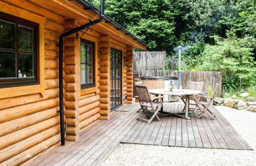 Wilderness Lodge - Foto 25