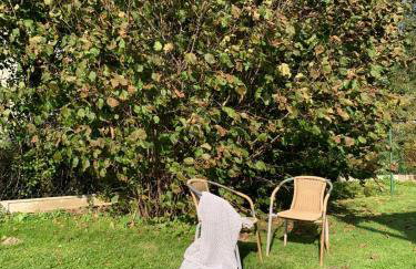 chillout w Rychwaldzie - Foto 7