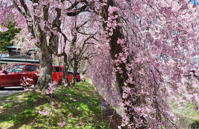 Tour privato in auto al Monte Fuji da Tokyo - Foto 14