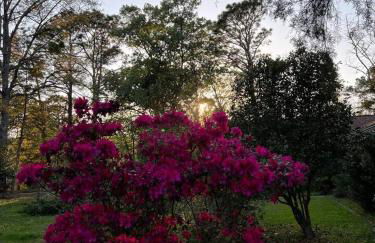 Stay Play On Golf Course. Pet Yes - Foto 23