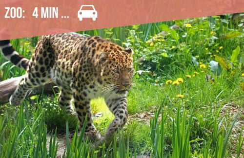 A L'ombre des Pins, Appartement neuf, élégant, Parking gratuit, Netflix, au calme à 100m de l'océan - Photo 36