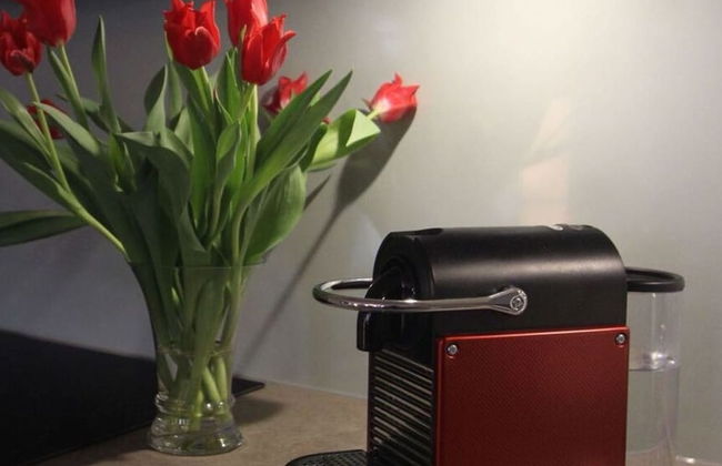 Holiday Apartment Kurpark - Photo 13