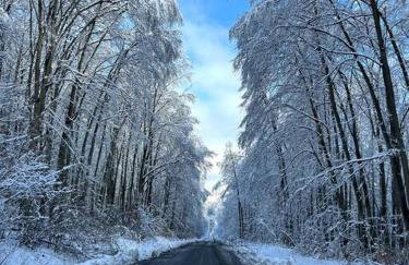 Drewniana chata nad stawem - Foto 34