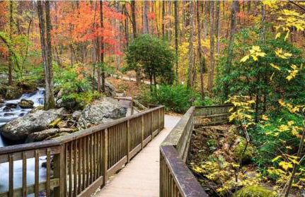 Cozy Cabin Retreat Near Helen Hot Tub Fireplace - Foto 41