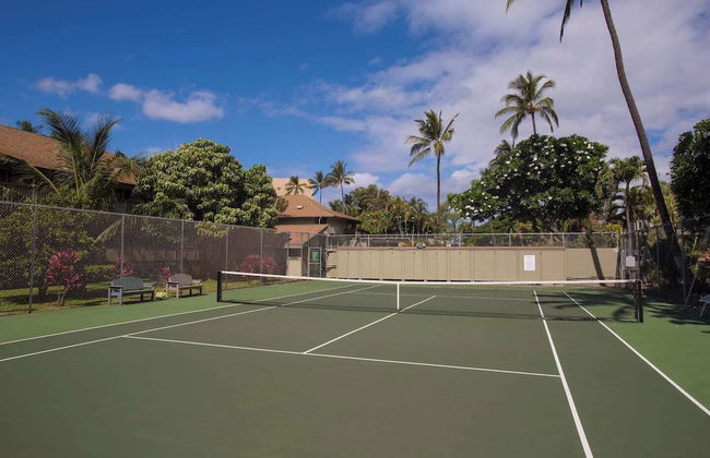 Kihei Bay Surf 227 - Photo 15