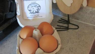 Loch Cromore Holiday Pods - Photo 3