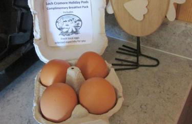 Loch Cromore Holiday Pods - Photo 3