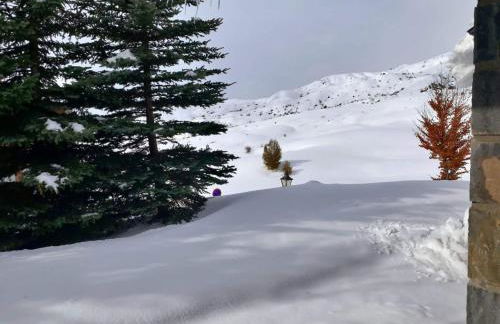 Chalet Los Ibones - Lodge Formigal - Foto 22