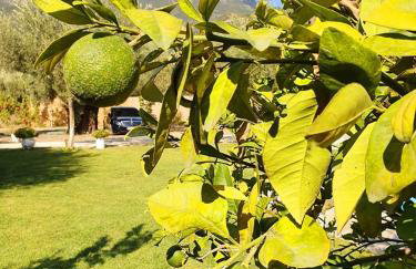 Alexandros Stone House - Foto 35