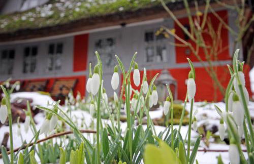 Wegekaten - Ferienwohnungen unter Reet - Foto 69