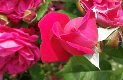 Cà di Minù - Foto 9