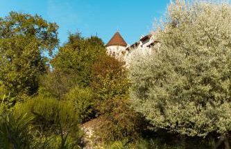 Château LA ROBERTERIE logement entier proche Saint Emilion - Foto 7