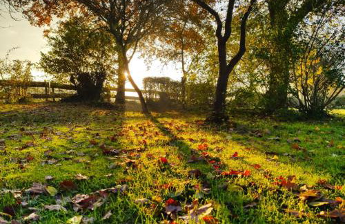 Ferienvermietung Meerlandliebe - Foto 5