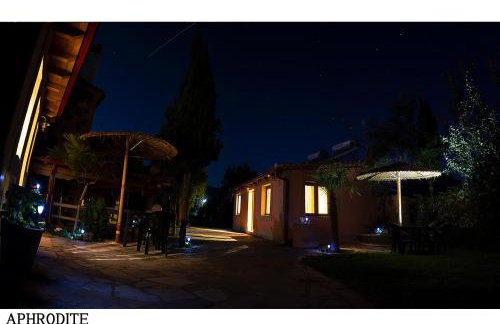 Medusa Gorgon - Photo 18