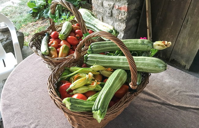 la Casetta Nel Bosco Feel the Nature - Foto 25