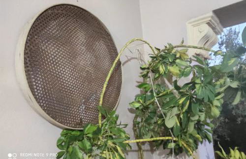 LOS ABUELOS - Foto 72