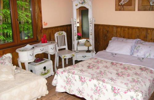 Agroturystyka - AGRODOMEK -Basen, Jacuzzi, Sauna - Foto 15