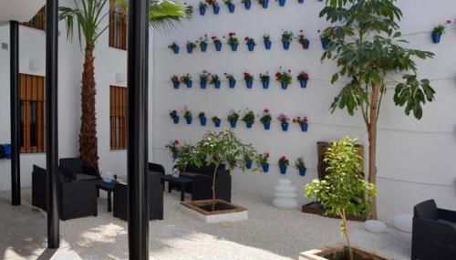 CASA PATIO LAS PALMERAs 3 y 4 - Foto 5