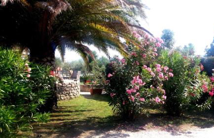 residence dolores castle - Foto 9