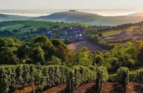 Gîte Atelier de Sancerre centre historique - Foto 9