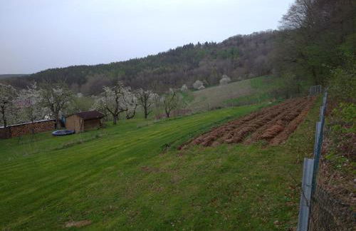 FEWO Adelhardt Harald - Foto 10